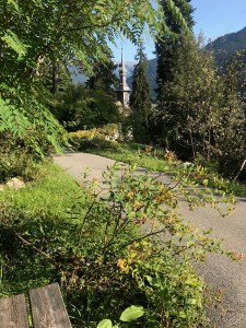 Environnement - Village