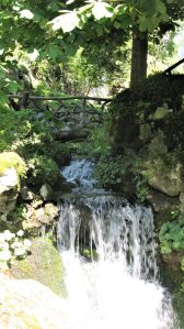 Environnement - Village